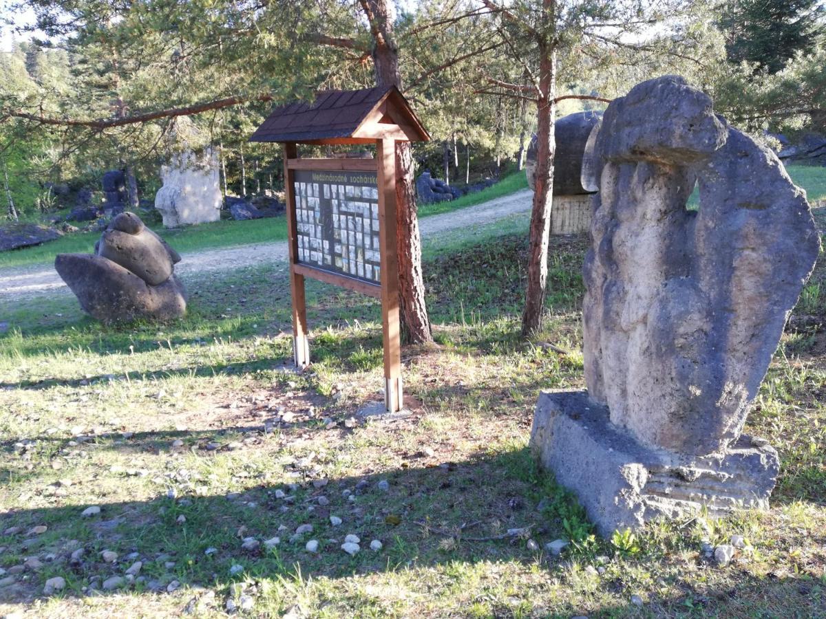 U Bazanta *** - Ubytovanie V Sukromi Vysne Ruzbachy Exterior photo